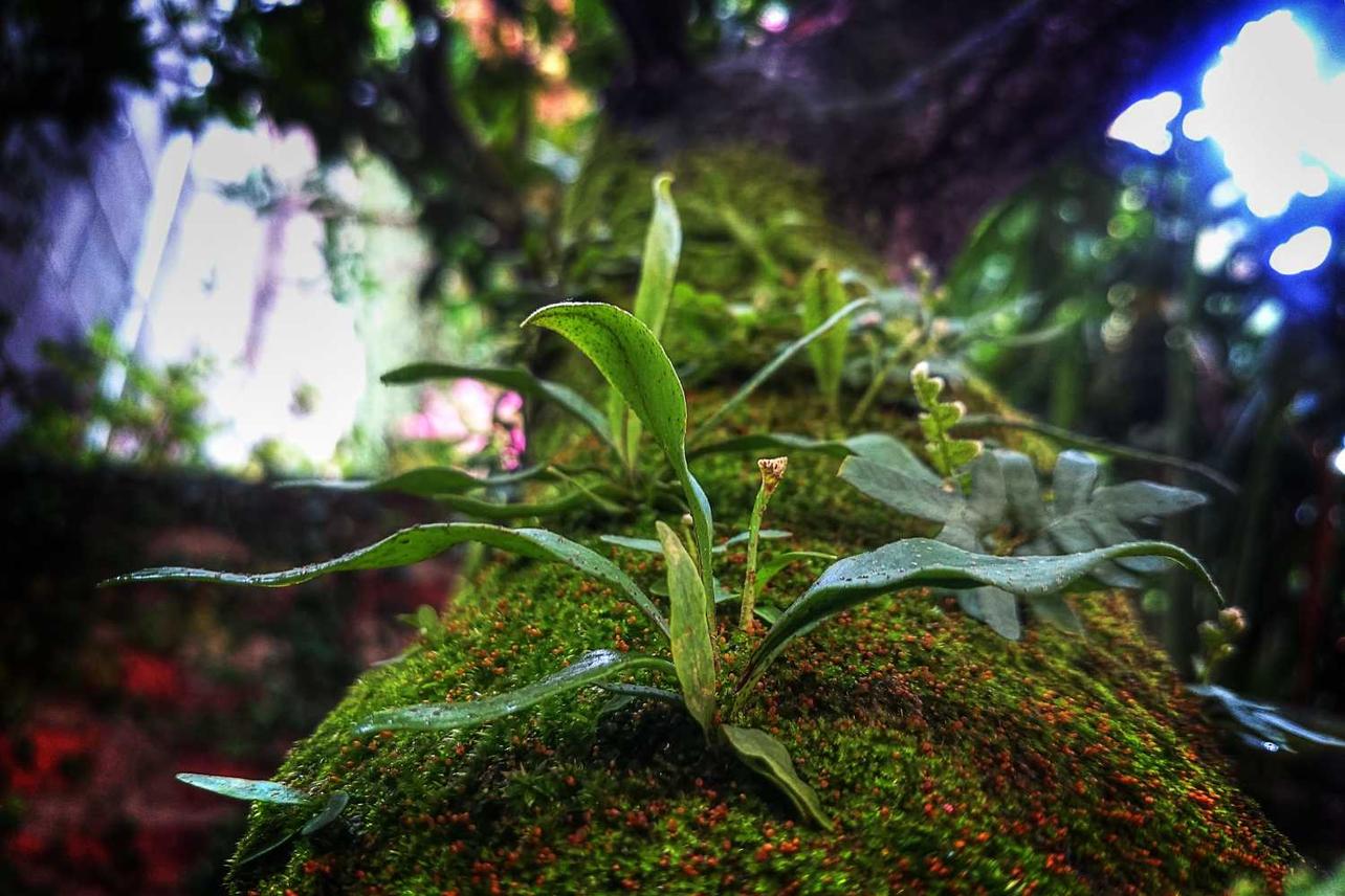 Soluta minima sunt qui unde officiis